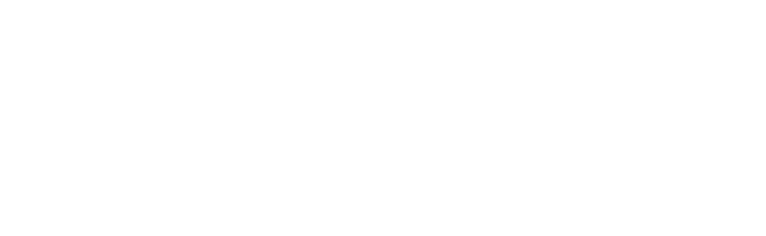 Logo da BonnaFides